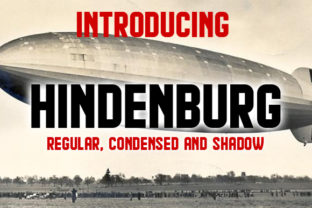 Branding with Hindenburg: A Font That Elevates Your Business