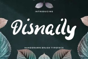 Disnaily: The Font That Elevates Your Brand