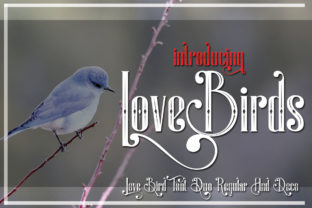 LoveBirds: A Font That Adds Romance to Your Web Design